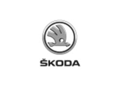 Das Bild zeigt das Skoda Logo